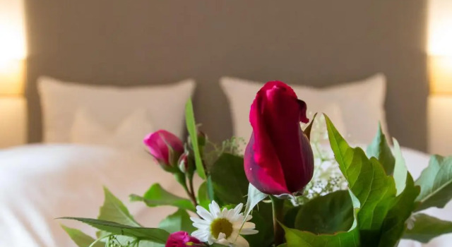 Номер Superior Pension Sonnheim