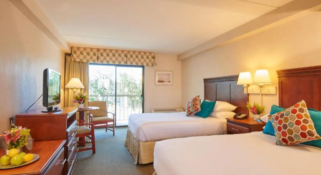 Четырёхместный номер Standard с видом на залив The Bay Resort