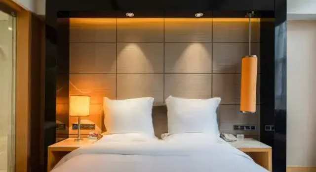 Люкс Deluxe Power Hotel