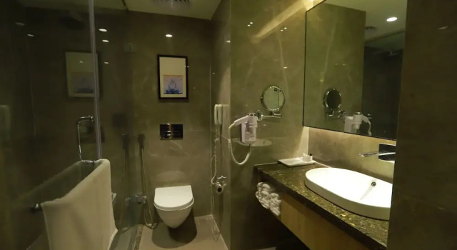 Номер Deluxe Grand Sarovar Portico