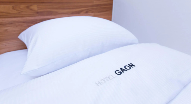 Одноместный номер Standard Hotel Gaon