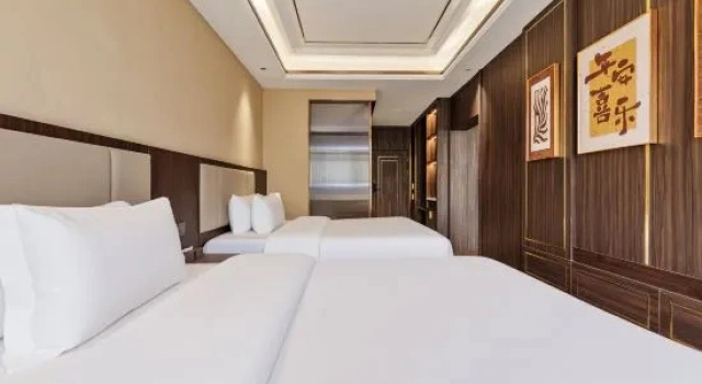 Deluxe Suite Roldi Hotel