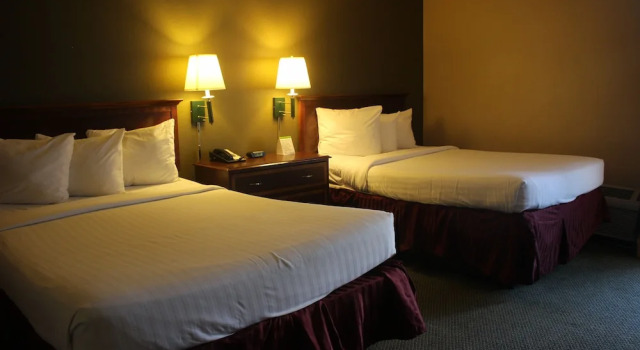 Standard- værelse Extend-a-Suites Amarillo West