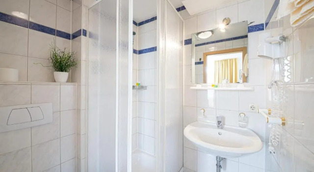 Двухместный номер Standard Europa Hotel Fürth