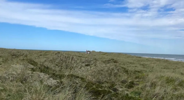Коттедж 4 person holiday home in Læsø