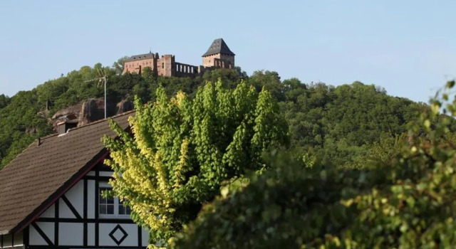 Bos en Kasteel