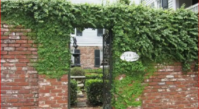 The Burn Bed and Breakfast, Book Bed and Breakfast Hoteller i Mississippi med pool, Swimmingpool