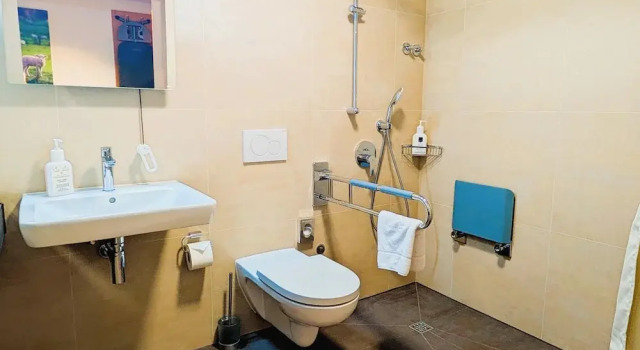 Номер Standard Hotel Lamm