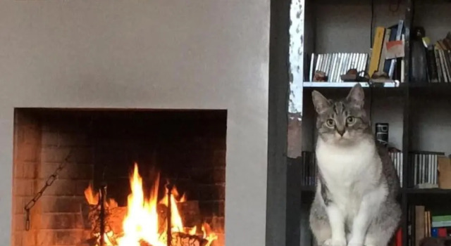 La Casina Dei Gatti, Rezervovat Hotel Fano 