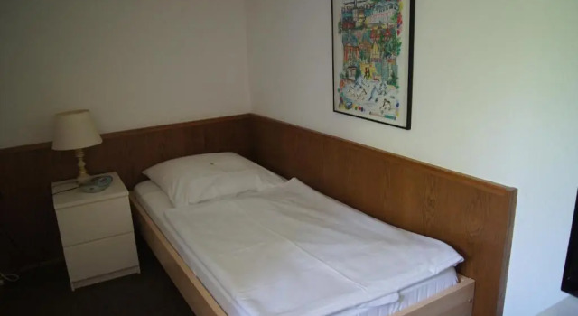 Одноместный номер Economy Hotel Gut Schwaige