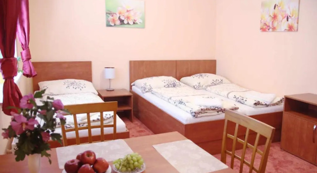 Номер Superior Černý Kocour Apart hotel