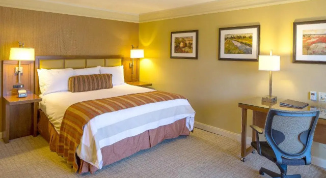 Run of House Hotel Abrego