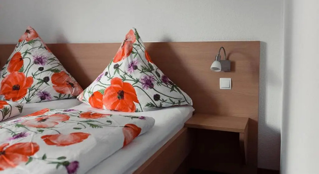Двухместный номер Economy Hotel Restaurant Steinhägerquelle