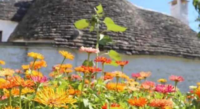 Trulli Del Bosco, Book Bed and Breakfast Hoteller i Alberobello med pool, Swimmingpool