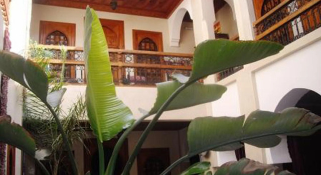 Riad Dubai