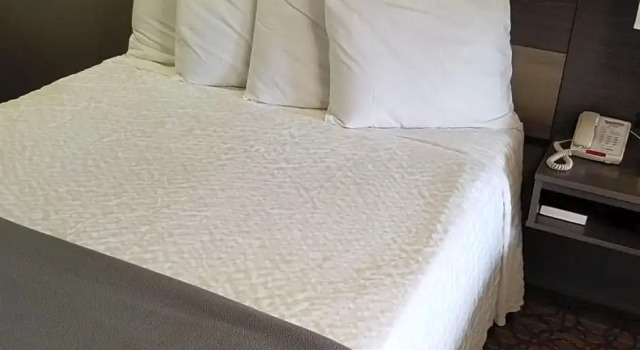 Двухместный номер Standard Francis Scott Key Family Resort