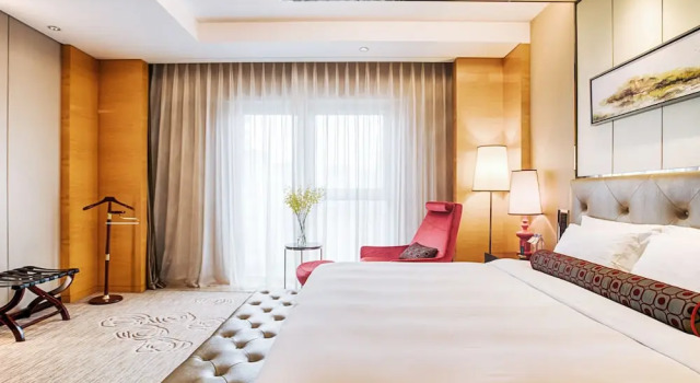 Номер Deluxe Vaya International Hotel