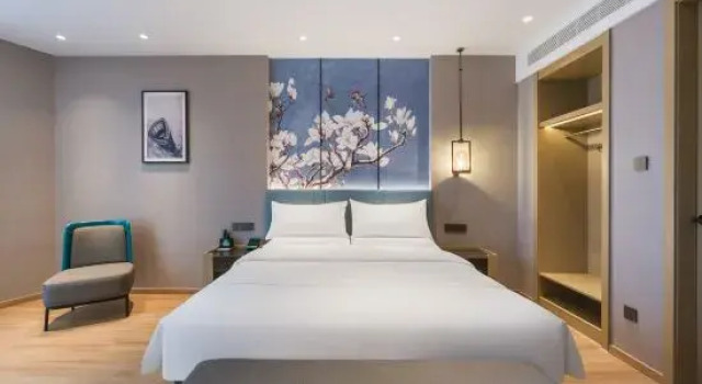 Люкс Deluxe Magnolia Business Hotel (Jiaxing Nanhu Science and Technology City Branch)