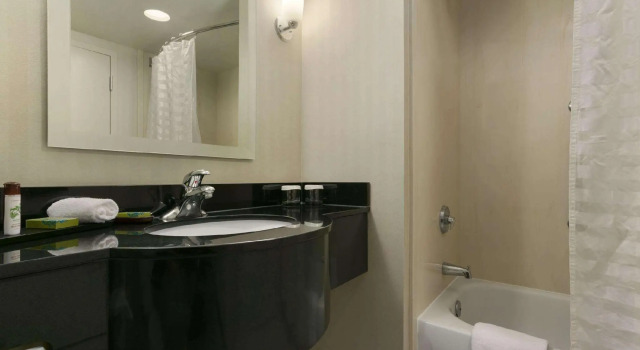 Четырёхместный номер Standard Embassy Suites by Hilton Dulles North Loudoun