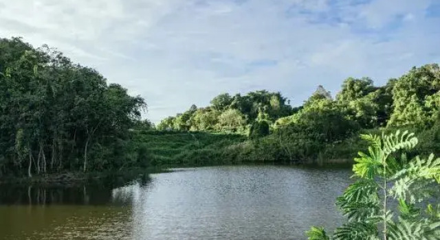 Lakeside Hideout by Evernent, Rezerwuj Hotel Miri Sarawak