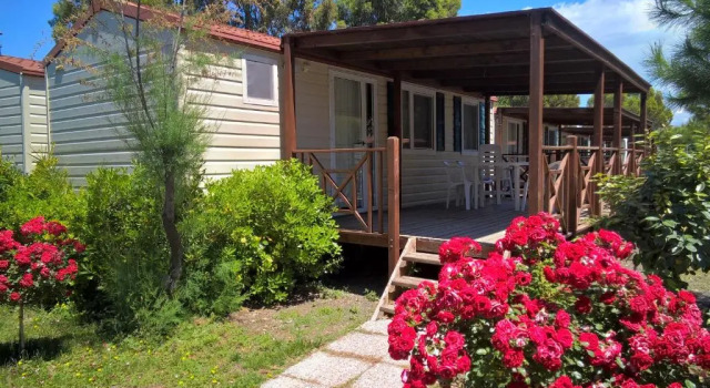 Номер Standard New Camping Le Tamerici