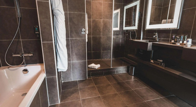 Люкс Novotel Toulouse Centre Wilson