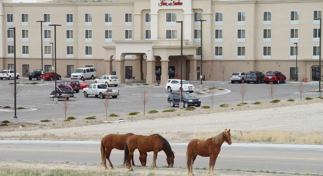 Кровать в общем номере Hampton Inn & Suites Green River