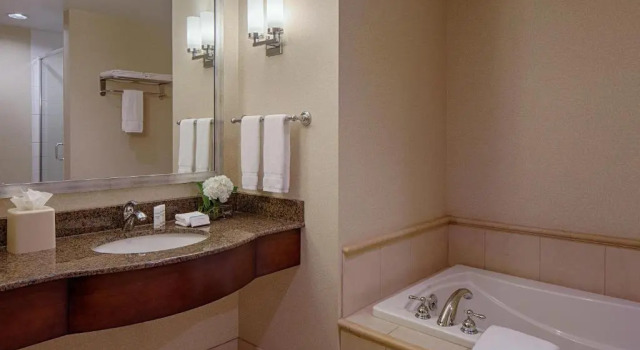 Номер Standard Hilton Garden Inn Jackson Downtown