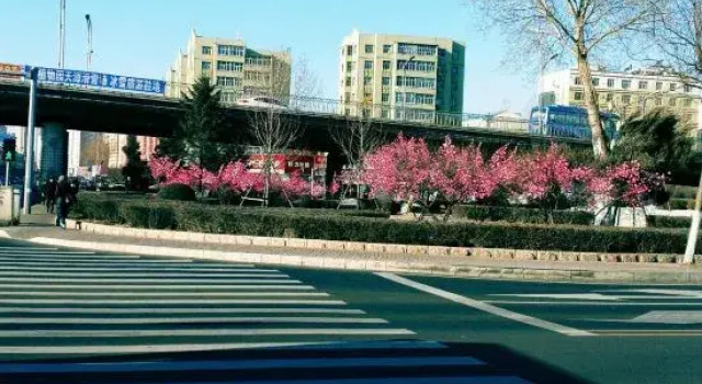 Jixi Edinburgh Hotel, Prenota Hotel Jixi Heilongjiang