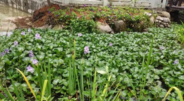 Yuyao Yijia Homestay (Yuyao Siming Lake Scenic Area), Prenota Hotel Hotel a Ningbo con parcheggio, Parcheggio