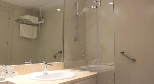 Одноместный номер Standard Hotel Carreño