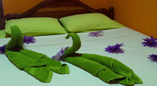 Двухместный номер Standard Greenwood Udawalawa Safari Resort