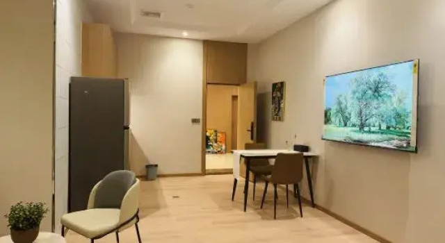Люкс Deluxe YILV SERVICE APARTMENT - Economy Class