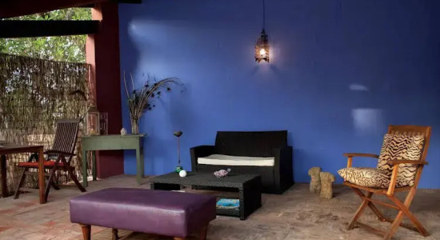Casa Camaleon