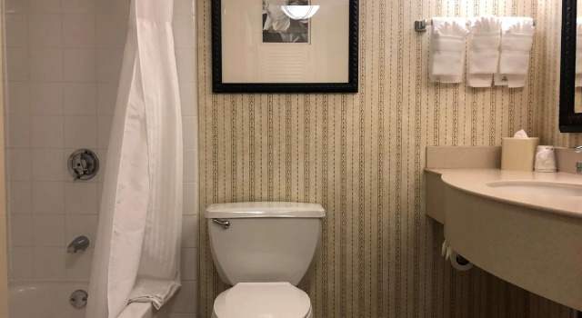 Двухместный номер Standard Hilton Garden Inn Addison