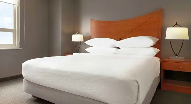 Двухместный люкс c 1 комнатой Embassy Suites Baltimore - Inner Harbor