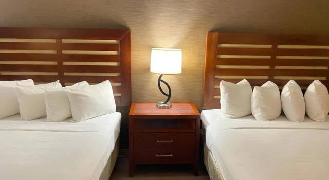 Четырёхместный номер Standard Wyndham Garden Grand Rapids Airport