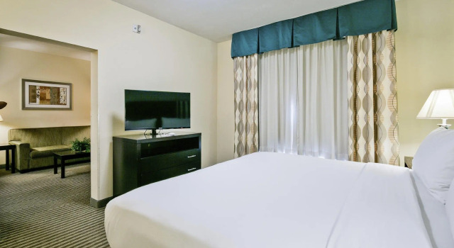 Люкс Holiday Inn Express & Suites Carthage by IHG