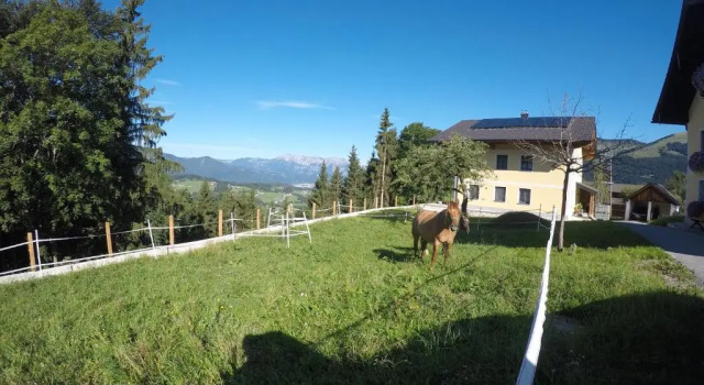 Апартаменты Ferienwohnungen Hornmansreithof