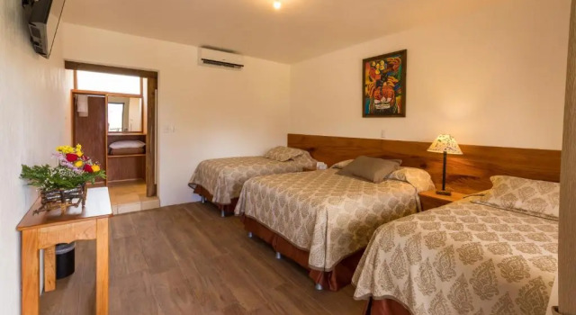 Трёхместный номер Standard Hotel y Centro de Convenciones Jardines del Lago