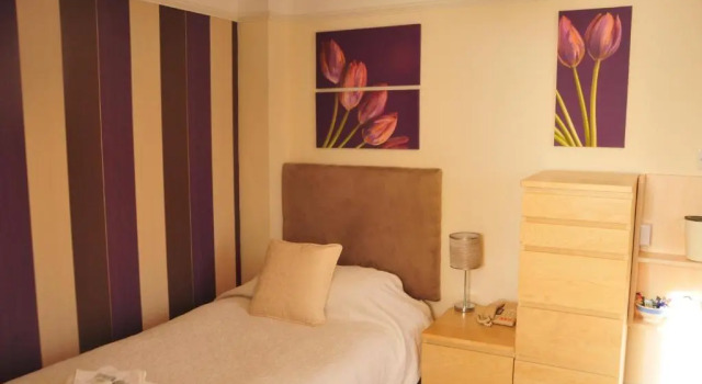 Одноместный номер Standard Edward Hotel