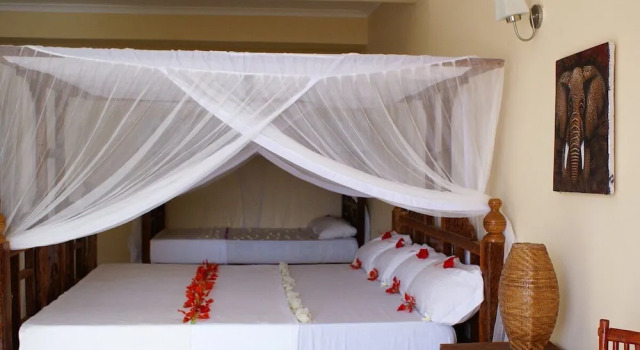 Четырёхместный номер Standard Moonshine Uroa Boutique Hotel