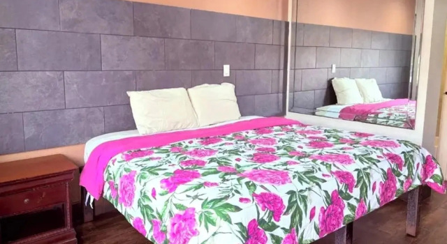 Номер Standard Regency Inn Houston near Hobby Airport