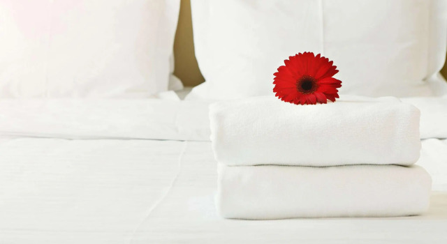 Четырёхместный номер Standard Magnuson Hotel Bradenton
