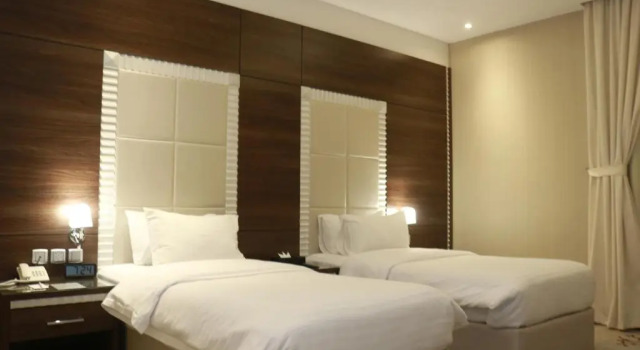 Двухместный номер Deluxe Ayan Hotel