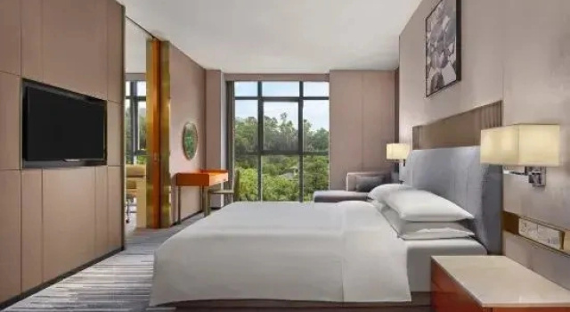 Двухместный люкс Executive с видом на горы Pullman Dongguan Forum