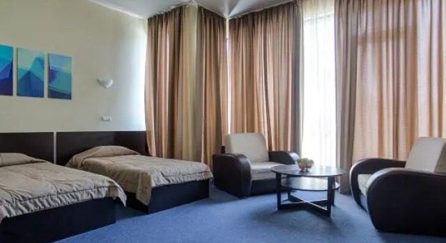 Iş oda Hemus Hotel Sofia