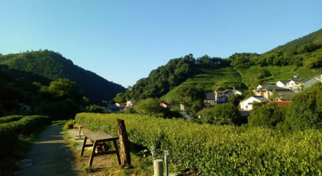 Qiao Garden Vacation Hotel