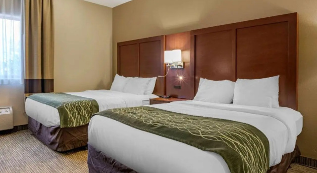 Четырёхместный номер Standard Comfort Inn Warren - Detroit North