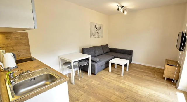 Апартаменты с видом на горы Apartamenty Skalite Szczyrk Wellness